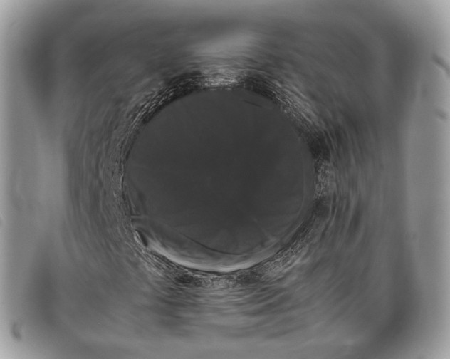 X0000097821441200804111004