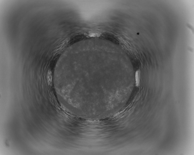 X0000097821443200804111004