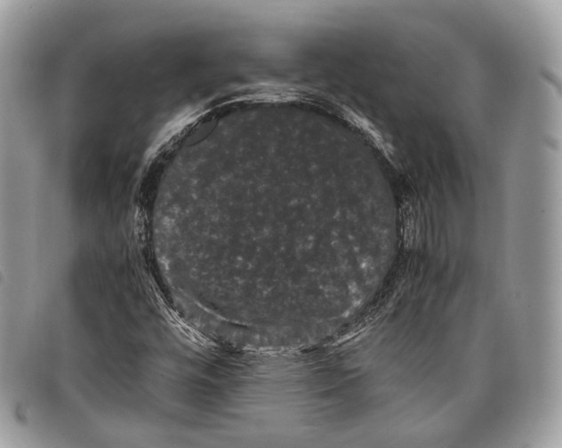 X0000097821448200804111004