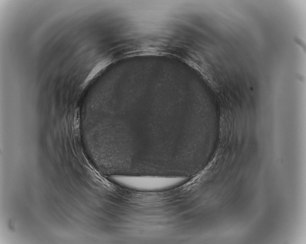 X0000097821450200804111004