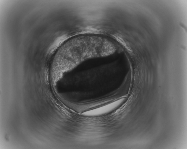 X0000097821455200804111004