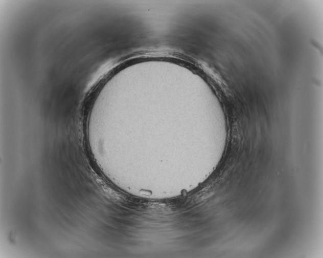 X0000097821456200804111004