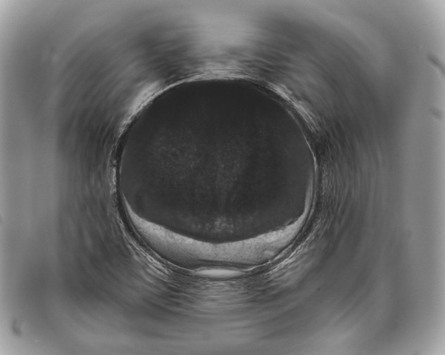 X0000097821459200804111004