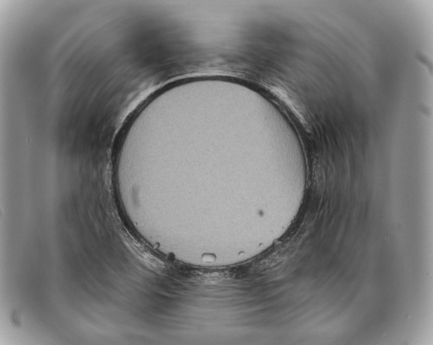 X0000097821460200804111004