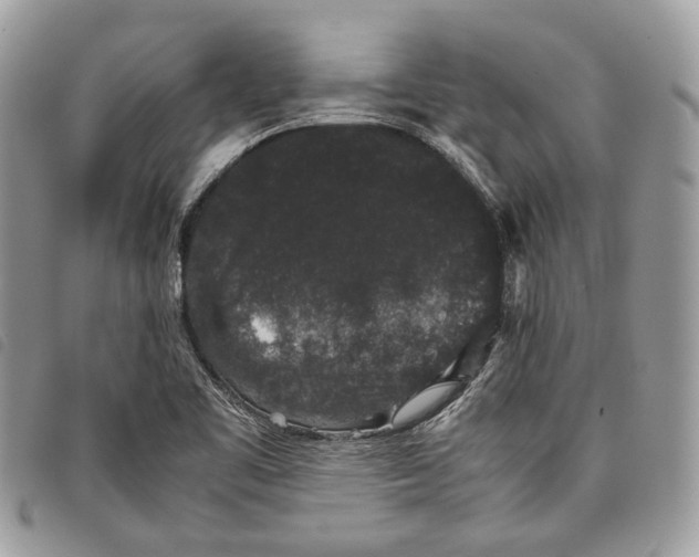 X0000097821461200804111004