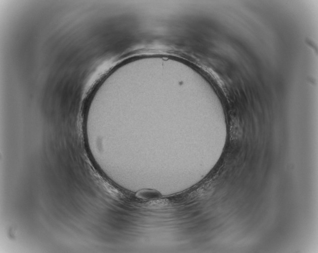 X0000097821464200804111004