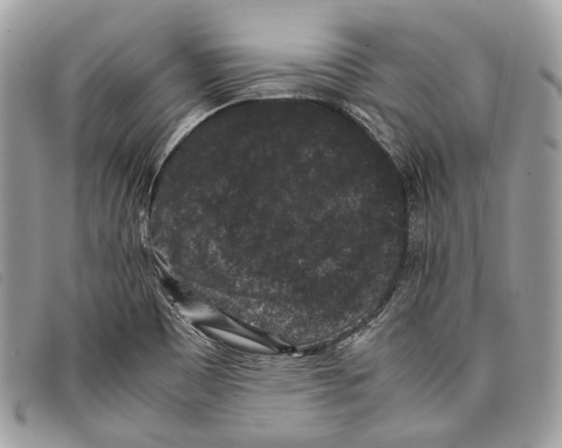 X0000097821465200804111004