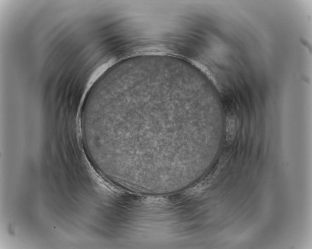 X0000097821466200804111004