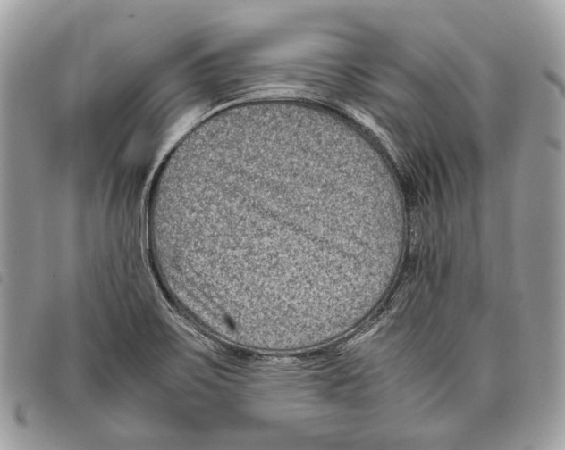 X0000097821467200804111004