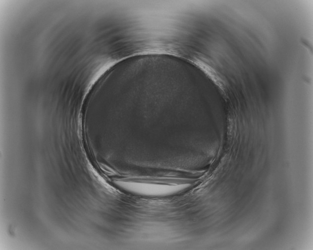 X0000097821468200804111004