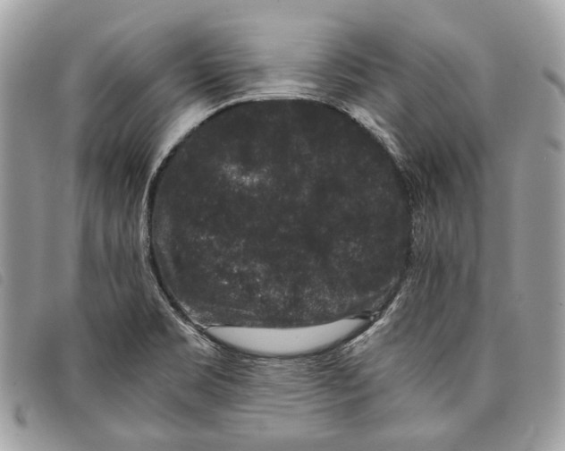 X0000097821469200804111004