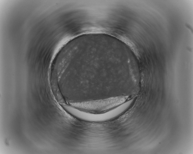 X0000097821472200804111004