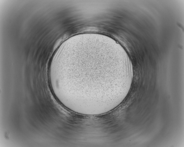 X0000097821475200804111004