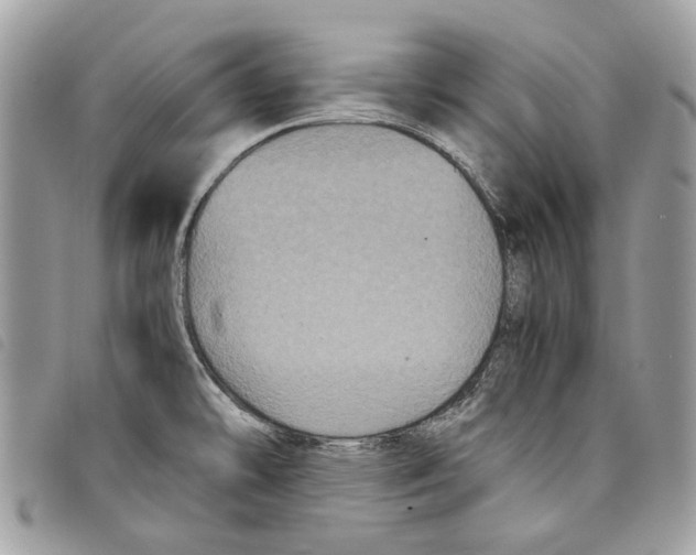 X0000097821478200804111004