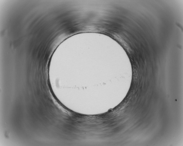 X0000097821479200804111004