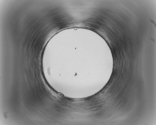 X0000097821483200804111004