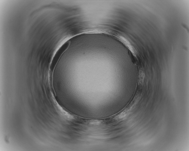 X0000097821484200804111004