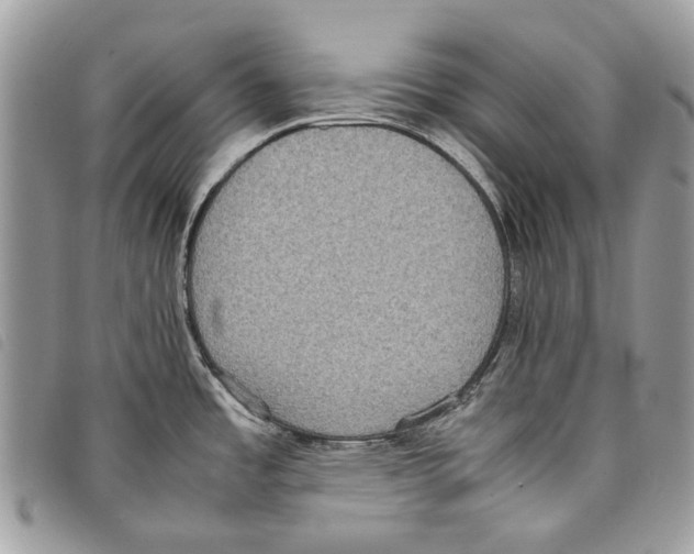 X0000097821485200804111004