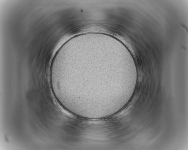 X0000097821486200804111004