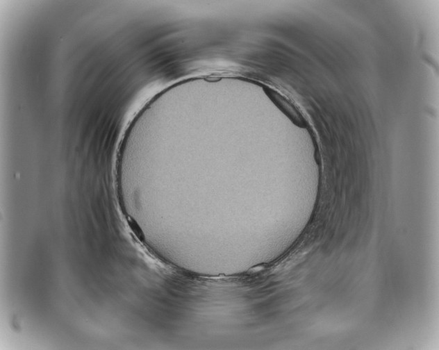 X0000097821488200804111004