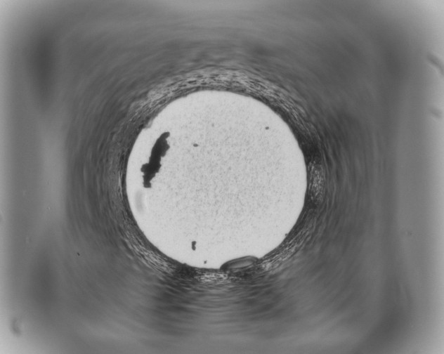 X0000097821489200804111003