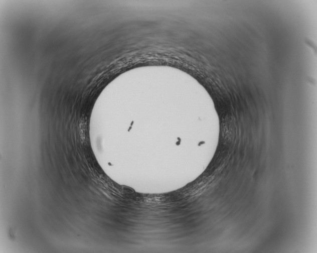 X0000097821490200804111003