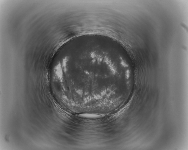 X0000097821497200804111003