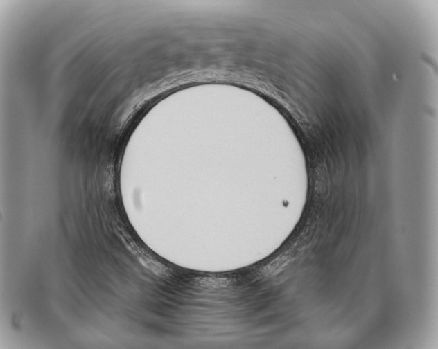 X0000097821499200804111003