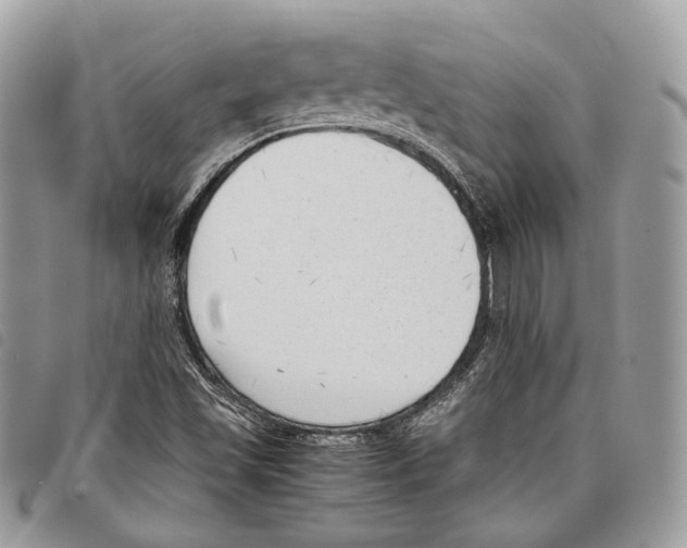 X0000097821501200804111003