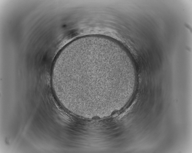 X0000097821505200804111003