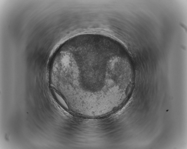 X0000097821506200804111003