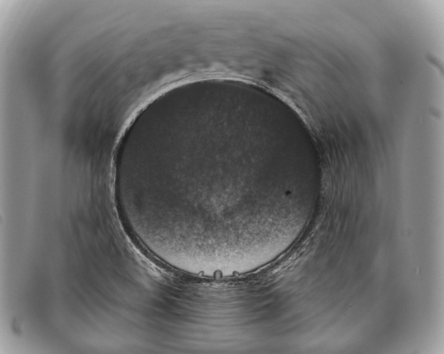 X0000097821508200804111003