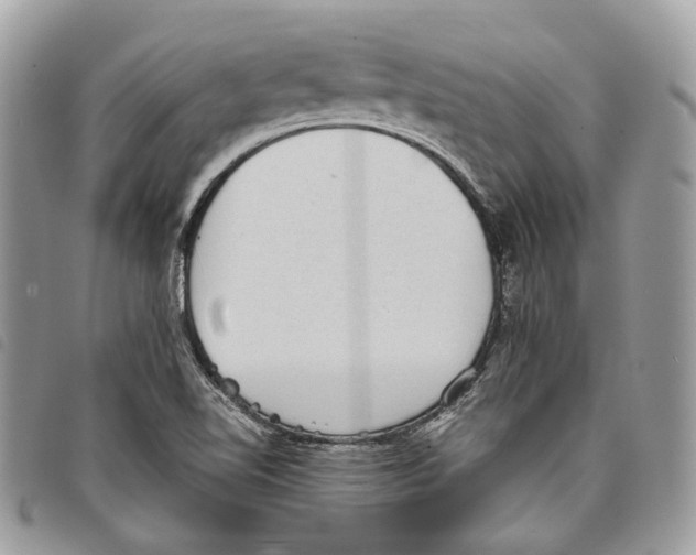 X0000097821510200804111003