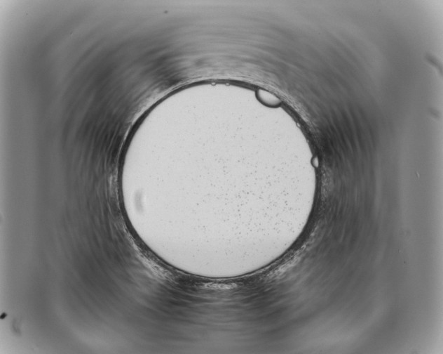 X0000097821513200804111003