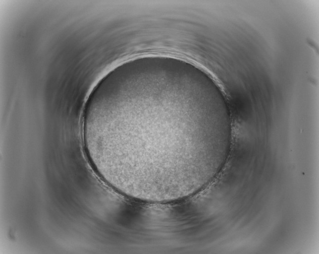 X0000097821514200804111003