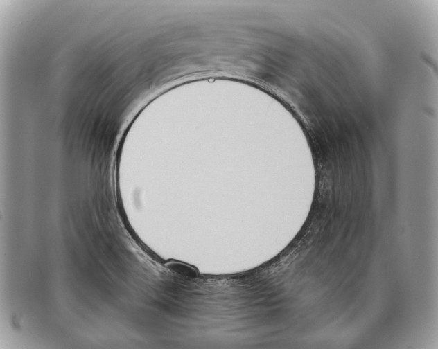 X0000097821516200804111003