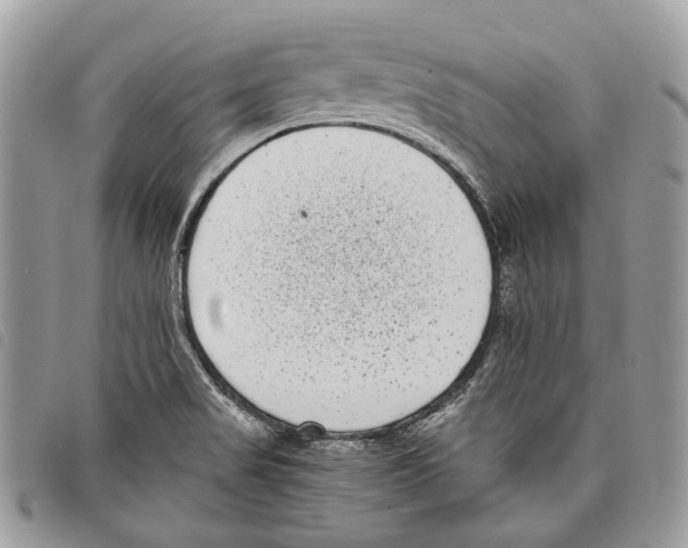 X0000097821517200804111003