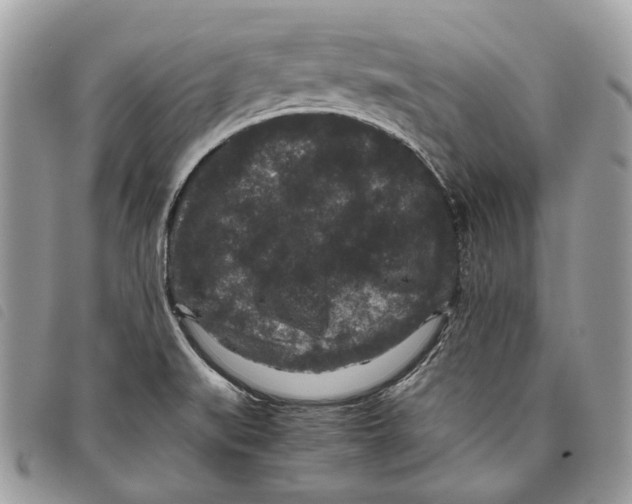 X0000097821519200804111003