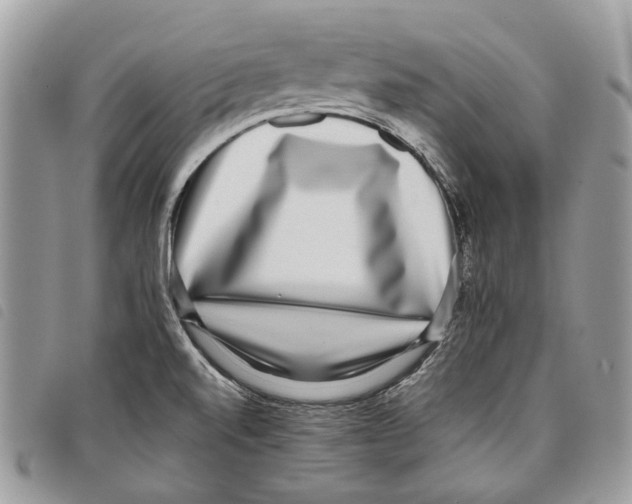 X0000097821520200804111003