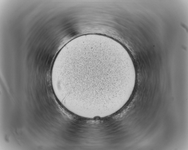 X0000097821521200804111003