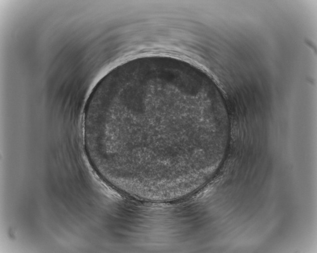 X0000097821522200804111003