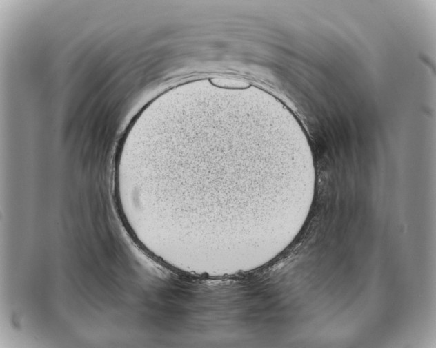 X0000097821523200804111003