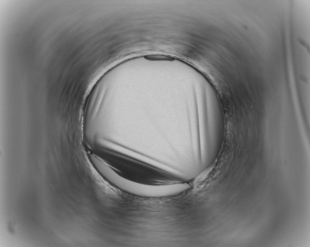 X0000097821524200804111003