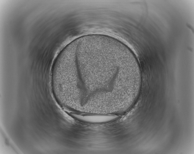 X0000097821525200804111003