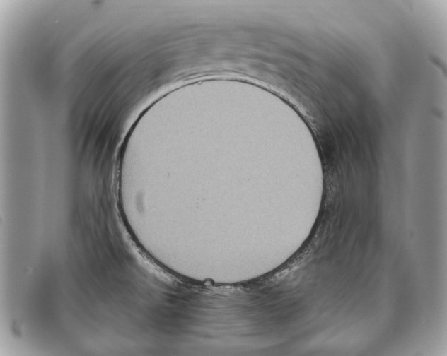 X0000097821526200804111003