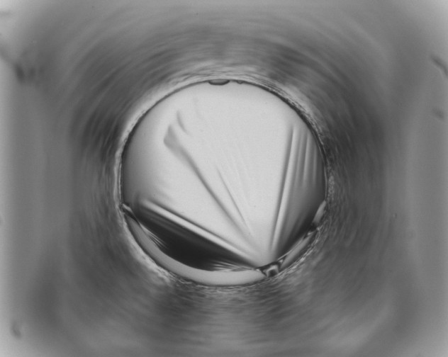 X0000097821528200804111003