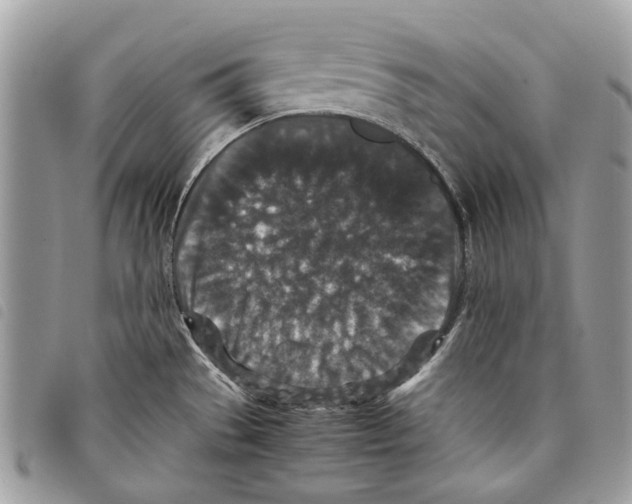 X0000097821529200804111003