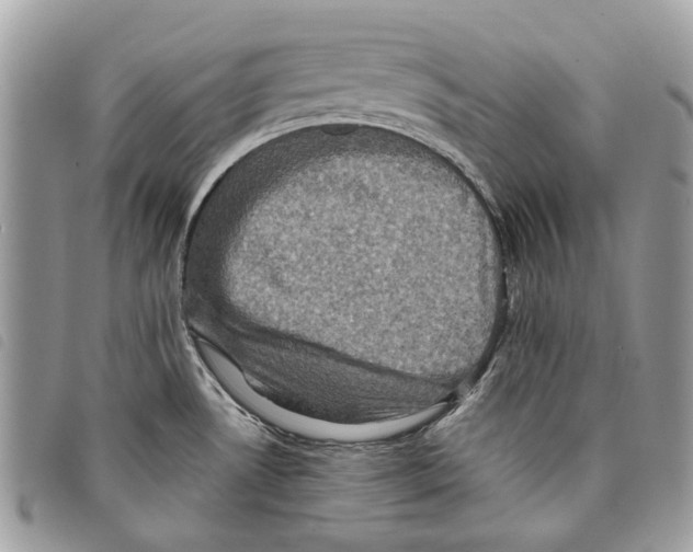 X0000097821530200804111003