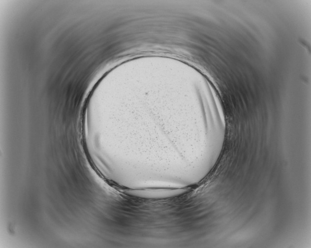 X0000097821531200804111003