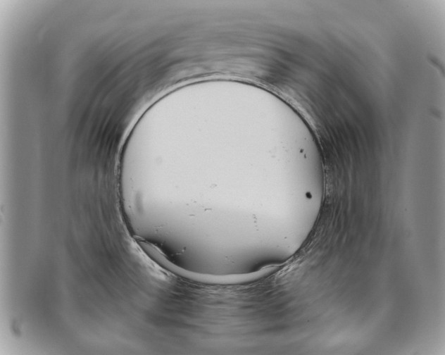 X0000097821532200804111003